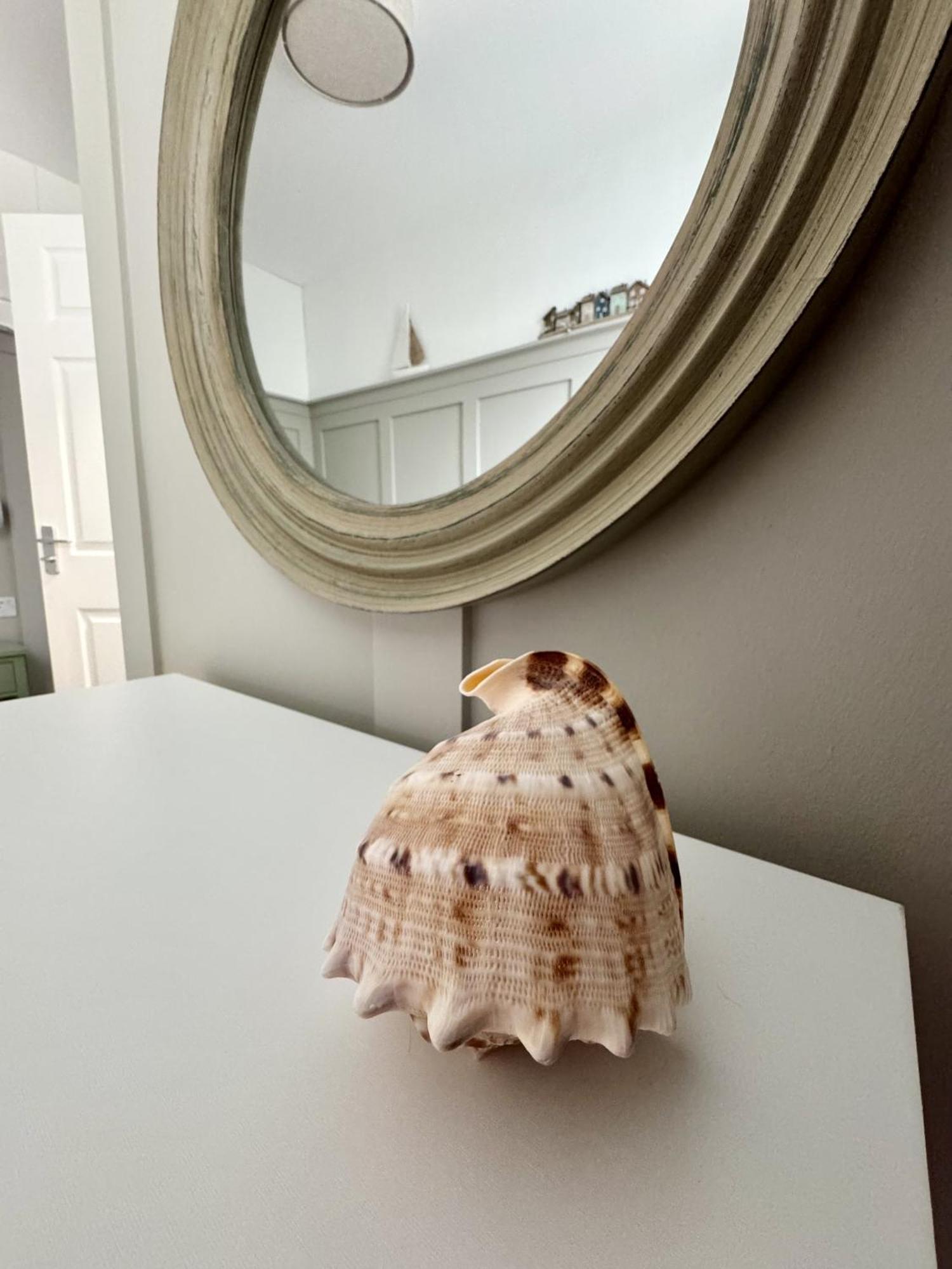 No 6 Lansdowne Apartment Портръш Екстериор снимка